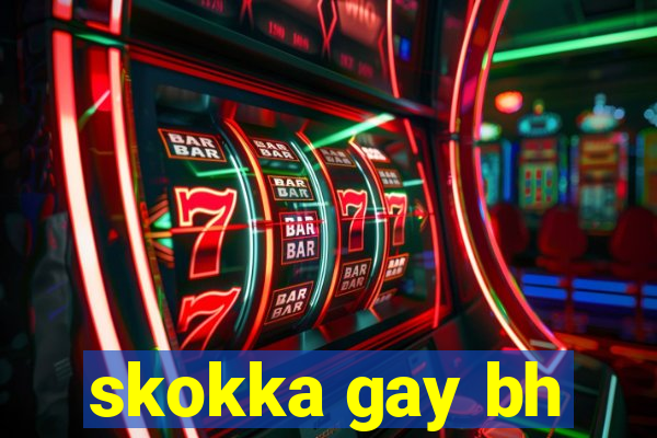 skokka gay bh